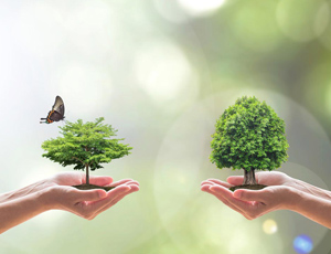 7月和1-7月全國(guó)地表水、環(huán)境空氣質(zhì)量狀況