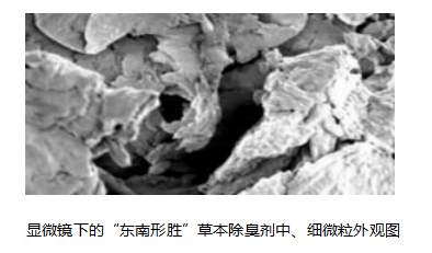 養殖廢水的細菌危害