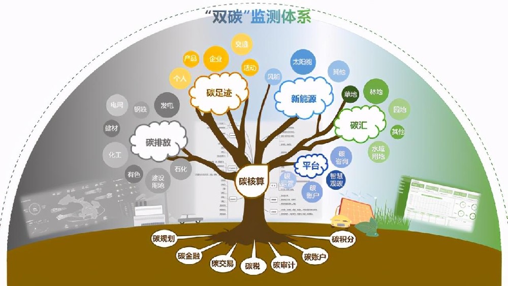 雙碳.jpg